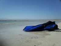 100_2960.jpg