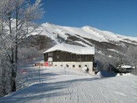 IMG_2549.jpg