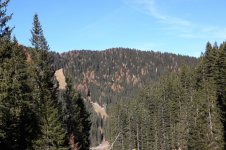 IMG_4927.jpg