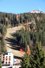 IMG_4932.jpg