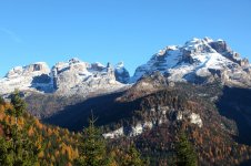 IMG_4935.jpg