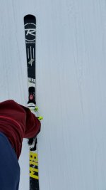 2016-03-15 20.35.41.jpg