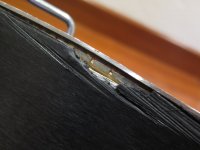 IMG_0390.jpg