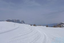 alpe-siusi-19.jpg