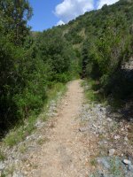 sentieromediterraneocamerotainfreschi-010.jpg