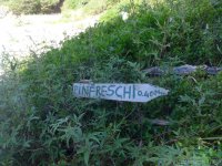 sentieromediterraneocamerotainfreschi-015.jpg