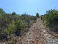 sentieromediterraneocamerotainfreschi-020.jpg