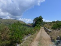 sentieromediterraneocamerotainfreschi-022.jpg