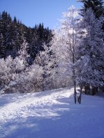 finegranrisa_b_633_x_844_908.jpg