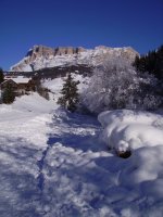 finegranrisa_a_633_x_844_172.jpg