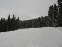 alting_skiforum_2_290.jpg