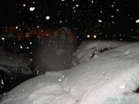 o_questa_107.jpg