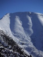 larici_portule_15_301.jpg
