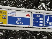 robby_roby_366.jpg