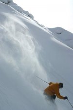 img69235ue_496.jpg