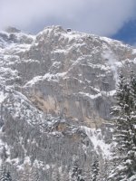 copia_di_varie_121_105.jpg