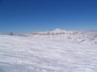 copia_di_varie_137_183.jpg