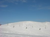 dscn1698_450.jpg