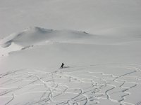 dscn1597_684.jpg
