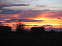 copia_di_immagine_065_347.jpg