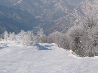 carnevale_2006_086_128.jpg