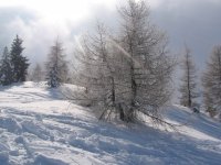 carnevale_2006_074_162.jpg