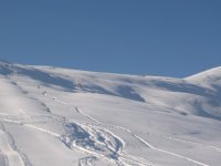 carnevale_2006_015_108.jpg