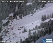 pecol_166.jpg