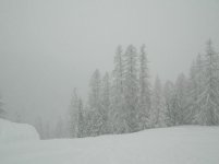 dscn1009_443.jpg