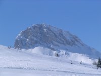 copia_di_varie_144_113.jpg