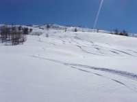orstr_143.jpg