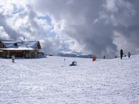 p3080028_985.jpg