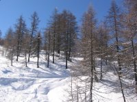 sestriere_110306_005_171.jpg