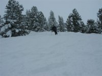 img_2492_111.jpg