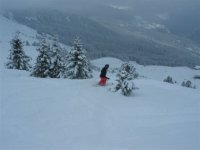 img_2429_328.jpg