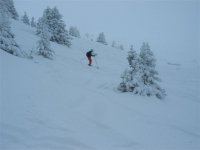 img_2426_765.jpg