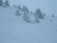img_2425_129.jpg