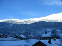img_2436_161.jpg