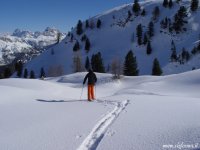 powder_05_854.jpg