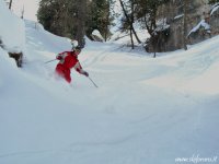 powder_15_598.jpg