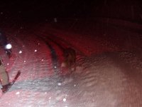 capodanno0506_013_192.jpg