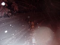 capodanno0506_011_868.jpg