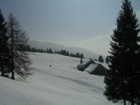 malga_larici_di_sotto_982.jpg