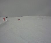 dsc_11_100.jpg