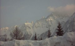 dsc_15_181.jpg