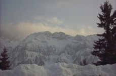 dsc_14_446.jpg
