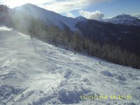 a_8_174.jpg