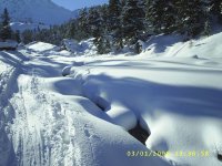 a_30_209.jpg