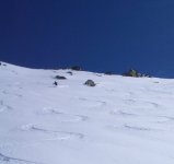 08aratore_182.jpg