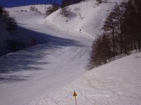 pict0110_194.jpg